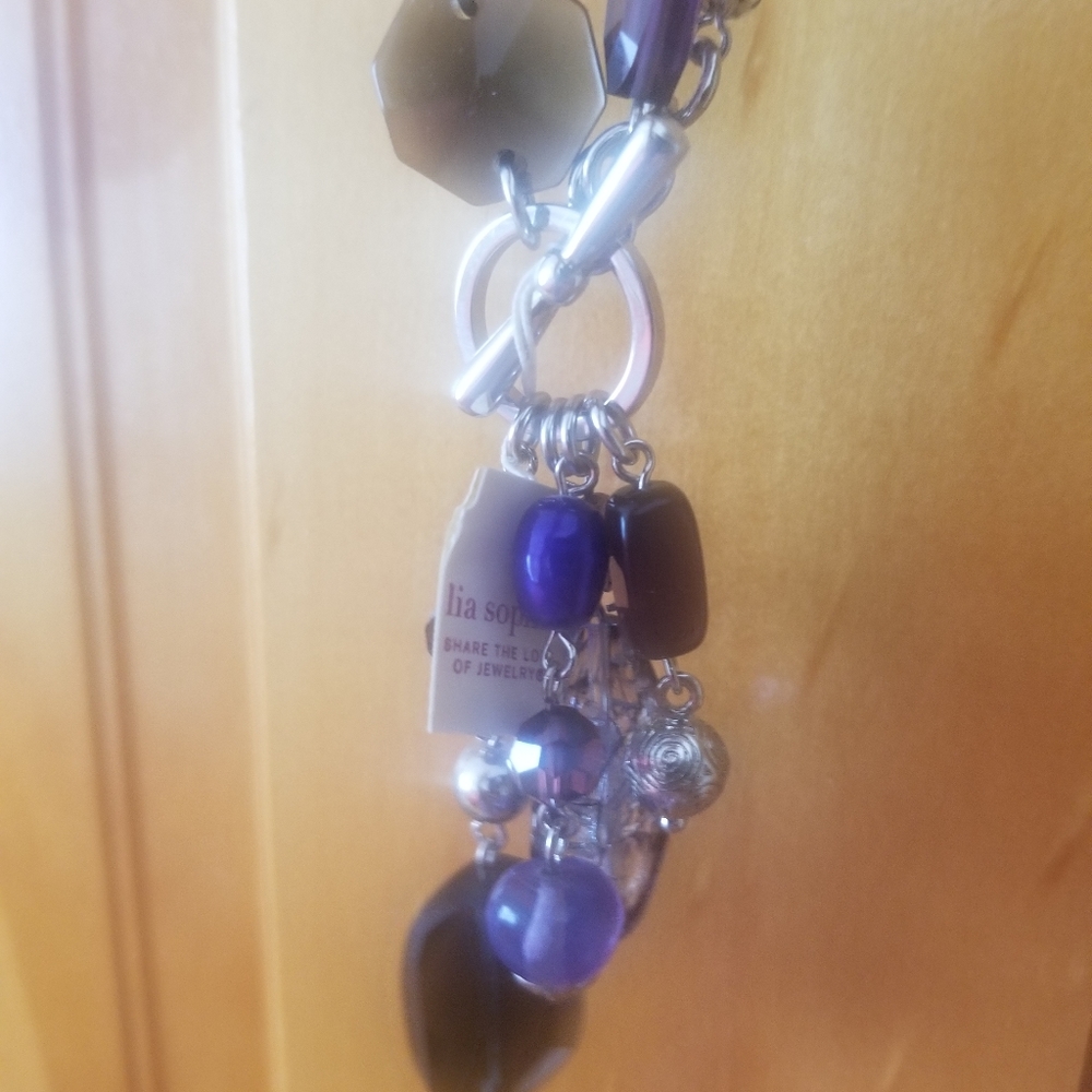 ⚠️NWT- Lia Sophia Violet Hour Toggle Necklace - Picture 5 of 16